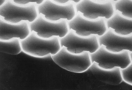 ss (2012-11-06 at 02.27.37).jpg